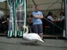 Thumbs/tn_ausflug0915.jpg