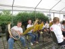 Thumbs/tn_strafest0933.jpg