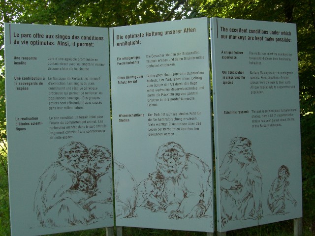 ../Images/zelten0806.jpg