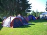 Thumbs/tn_zelten0803.jpg