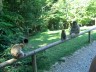 Thumbs/tn_zelten0807.jpg