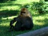 Thumbs/tn_zelten0808.jpg