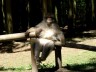 Thumbs/tn_zelten0809.jpg