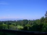 Thumbs/tn_zelten0820x.jpg
