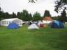 Thumbs/tn_zelten0907.jpg